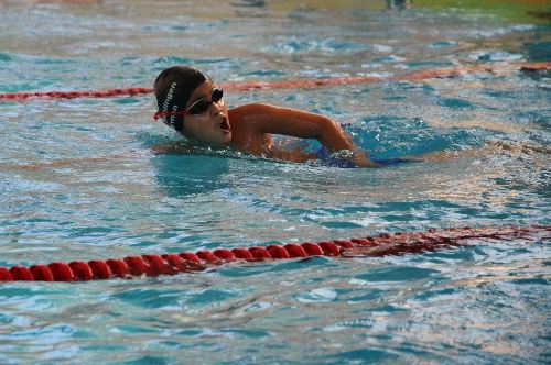 https://www.schwimmsport-vfl-waiblingen.de/content/igal/img_6964-JJLCYP-L-1396.jpg