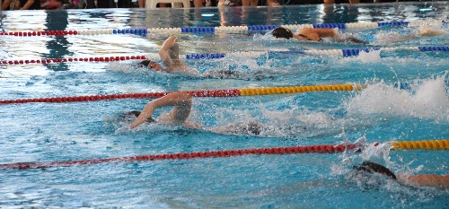 https://www.schwimmsport-vfl-waiblingen.de/content/igal/img_7105-51JDMJ-L-1408.jpg