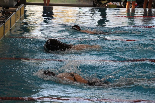 https://www.schwimmsport-vfl-waiblingen.de/content/igal/img_7108-A9NBOF-L-1409.jpg