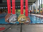 3 Süddeutsche Meistertitel für Schwimmerinnen des VfL Waiblingen