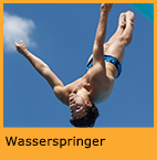 Wasserspringer